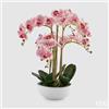 EDG Enzo De Gasperi Orchidea Phalaenopsis Pianta x6 con Vaso Artificiale H 64 Cm Green Pink