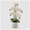 EDG Enzo De Gasperi Orchidea Phalaenopsis Pianta x5 con Vaso Artificiale H 65 Cm White