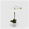 EDG Enzo De Gasperi Orchidea Phalaenopsis Real con Vaso Artificiale H 40 Cm White