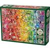 Cobble Hill Puzzle da 1000 Pezzi Arcobaleno colorato Campione Poster Incluso, Medio, Rosso