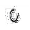 FAG N209-E-XL-TVP2 FAG 45x85x19