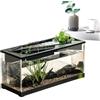 Generic Acquario da tavolo per acquario | ABS acrilico 31,5 × 13,5 × 16,5 cm serbatoio ecologico ad alta trasparenza con pompa ad aria top fioriera opzione luce alimentata tramite USB per