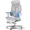 Hbada E3 Pro Sedia Ufficio e Scrivania Ergonomica, con Supporto Lombare Dinamico a 3 Zone, Testiera Regolabile 4D, Braccioli Regolabili 6D (Polipropilene, Rosa)