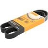 CONTITECH 6PK1004 - Cinghia dentata extra