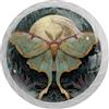 Generic Retro Moth 4 pezzi pomelli per armadietti, decorazione rotonda in vetro cristallo ABS materiale da cucina, pomelli per cassetti mobili armadio maniglie a foro singolo