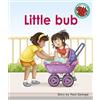 Paul George Little bub (Tascabile) Red Squirrel Phonics Level 5 Set 2c