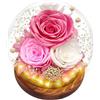 Suprbee Rosa Eterna Stabilizzata, Rosa Eterna di Vetro Regalo,Vera Fiori Stabilizzati, Rosa Conservato Sfera di Cristallo,Regalo per Donne Mamma Moglie, Rosa Eterna Compleanno San Valentino Natale Festa Della