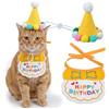 Tyqour Cappello di compleanno per gatti, cappelli di compleanno per animali di peluche, cappello per feste di compleanno, decorazioni per feste di compleanno, per gatti e cani di taglia piccola e