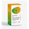 Byogenetics BYOFORCE Plus Integratore Riduzione Stanchezza e Recupero Energetico. Massima carica di energia e vitalità. Gusto Frutti di Bosco, 2,5 mg Flavonoidi, 20 Stick da 8ml,