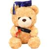 Joyesplay Orsetto di Laurea con Cappello da Dottore, 23 cm Orso di Laurea come Regalo di Laurea, Regalo di Laurea e Regalo di Diploma per Esami Superati o Cerimonia di Laurea (Blu)