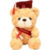 Joyesplay Orso di peluche per laurea con cappello da dottore, 23 cm Orso di laurea come regalo di bachelor, regalo di laurea e regalo per la fine degli studi per esame superato o cerimonia di laurea
