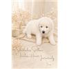 Moomi Design Puppy Bismy: Shadowless Stillness, Fearless Heart… Instinctively: A Minimalist Quiet Luxury Journal with Bismy, a Fierce and Serene Maremma Sheepdog ... Wellness | 6x9 · 100 Pages 3.5mm Dot Grid