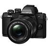 Olympus OM-D E-M10 Mark II Kit Fotocamera con Obiettivo 14-42mm EZ e Zoom 40-150mm R, 16 MP, 3, Video Full HD 1080p, Wi-fi