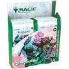 Magic: The Gathering MTG - Bloomburrow Collettore Booster Box