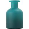 erioctry 1 bottiglia diffusore in vetro da 150 ml, per aromaterapia, squisiti contenitori per oli essenziali, accessori per profumi, diffusori fai da te, oli essenziali, artigianato, decorazione