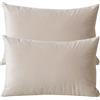 ZZDZW Lusso Cuscino Copre Caso Federa Cuscino 50x70 40x70 60x80 cm Copricuscino Per Divano con Cerniera Federe in Velluto per divano letto arredamento set di due Copricuscini(#19,60x80 cm set of 2)