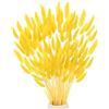 M METERXITY 180Pz Code Di Coniglio Erba 17 Pollici Soffici Code Di Coniglio Erba Fiori Secchi Rami Riempitore Di Vasi Decorazione Erba Secca Per Casa/Matrimonio/Vasi [Giallo Dorato]