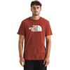 The North Face Evolution Half Dome Regular Short Slee T-Shirt da Uomo Iron Clay XXL