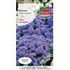 Verdica Azure Delight Ageratum houstonianum compatto sferico, ideale per aiuole e balconi, fiori blu brillante, 10-20 cm di altezza (0,25 grammi)