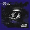 Meat Injection System anomaly (CD)