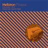 Papernut Cambridge Mellotron Phase Vol. 1 & 2 (Vinyl LP) 10" Single