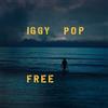 Iggy Pop Free Explicit Lyrics (CD)
