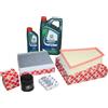 Kit Ispezione 2,0 EcoBoost Ford Mondeo Incl. 6 Litri 5W20 Castrol Olio