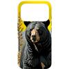 New Mexico Territory Symbols Gifts & Tee Custodia per iPhone 17 Pro Un orso di colore nero circondato da Yucca fiore New Mexico