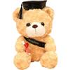 Joyesplay Orsetto di Laurea con Cappello di Laurea, 23 cm Orso di Laurea come Regalo di Laurea, Regalo di Laurea e Regalo di Diploma per Esame Superato o Cerimonia di Laurea (Nero)