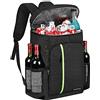 besrey Zaino Termico 30 Litri Termica Borsa, Zaino Isotermico, Porta Pranzo Mantenere Alimenti Caldi o Freddi, Zaino Frigo per Spiaggia, Campeggio, Picnic, Barbecue, Eventi