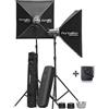 Elinchrom D-Lite RX 4/4 To Go - Set Illuminazione