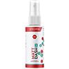 Gtechniq C6 Matte Dash Cleaner 100 ml - Protezione resistente all'abrasione, antistatico, sporco, acqua, repellente ai raggi UV, facile da pulire, cruscotto interno e porta card - vinile, plastica, finiture gommate