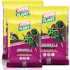 AGRICOLA GIRALDI Argilla Espansa Per Piante In Vaso Da 8-20 mm - Argilla Espansa Per Drenaggio Vasi e Fioriere, Alleggerimento Terriccio, Pacciamatura Decorativa, Ideale per Idrocoltura e Piante, 30 Litri