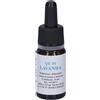 Quintessenza Qe10 Lavanda 10Ml 10 ml Olio essenziale