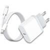 Fan-Electro Caricabatterie rapido per iPhone 16/16 Pro/16 Pro Max/16 Plus/15/15 Pro/15 Pro Max/15 Plus/iPad P ro/iPad Air, presa adattatore di alimentazione USB C 25 W con cavo USB-C 1M