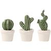 Garneck Piantine Finte Decorative Vasetto, Cactus Artificiale in Ceramica, 3 Pezzi, Piccole e Leggere, per Casa e Ufficio, Effetto Realistico Stili multipli