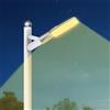 YOJZMA 100W Illuminazione stradale esterna Bianco caldo Faro sicurezza