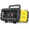 Husgw 12V20A 24V10A Caricabatteria da Auto, Carica Batterie per Auto,Multi Protezioni Caricabatteria e Mantenitore,Intelligente Schermo LED Caricabatteria Completamente Automatico per Auto, Moto,Barche.