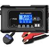 HTRC 12V/24V 20A Carica Batteria Intelligente - per LiFePO4 e Piombo Acido