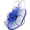 KAJNBN Fascinator con Velo e Piume per Donna, Cerchietto e Clip, Copricapo Vintage per Matrimoni, Tea Party e Cocktail, Accessorio Anni 20 Elegante e Raffinato