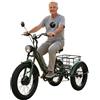 Generic Triciclo elettrico Fat Tire per adulti - 24 pollici, capacità di carico 200 kg, pedalata assistita, cestino portaoggetti, faro anteriore, ideale per la città e i percorsi di montagna, colore