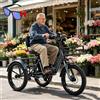 Generic Triciclo elettrico E-Bike per adulti - Pneumatici larghi da 20 x 2,5 pollici, telaio pieghevole in alluminio, batteria da 48 V 13 Ah, cestino anteriore e posteriore, schermo LCD, 3 modalità