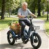 Generic Triciclo elettrico per adulti, bici da neve con pneumatici larghi 20*4.0, batteria rimovibile da 48 V 13 Ah, autonomia 30-40 km, doppi freni a disco, display LCD, carico massimo 150 kg, per