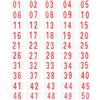 KAILIKETIY Set di Pettorali Numerati per Gara in Poliestere Cotone Fermagli in Metallo, Compatti e Adatti a Tutte Le Condizioni, per Uso in Palestra e Competizioni Sportive