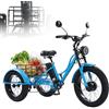 Generic Triciclo elettrico per adulti resistente, con pneumatici larghi da 24 pollici, pedalata assistita, capacità di carico di 200 kg, cestino portaoggetti e faro anteriore, ideale per la città e