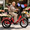 Generic Triciclo elettrico per adulti - E-bike pieghevole con 3 modalità di guida, pneumatici larghi da 20x2,5 pollici, batteria da 48 V 13 Ah, schermo LCD, cestino anteriore e posteriore, per anzia