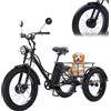 Generic Bicicletta elettrica a 3 ruote per anziani, 24 pollici, portata 200 kg, altezza regolabile, cestino posteriore, ideale per fare la spesa, fare esercizio e accompagnare i genitori, nera, senz