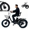 Generic Triciclo elettrico pieghevole per adulti, pneumatici larghi da 20 pollici, batteria rimovibile da 48 V/13 Ah, autonomia di 32 km, display LCD (velocità, chilometraggio, potenza, tempo), cest