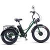 Generic Triciclo elettrico a 3 ruote per adulti e anziani, con cambio a 7 velocità, pneumatici adatti a tutti i terreni e 3 modalità di guida, ideale per gli spostamenti all'aperto durante lo shoppi
