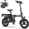 DEEPOWER Bicicletta elettrica pieghevole, 14 bicicletta elettrica, batteria rimovibile 48V 10Ah, motore 250W, freni a doppio disco, E-bike Per Pendolari Urbani (10Ah)
